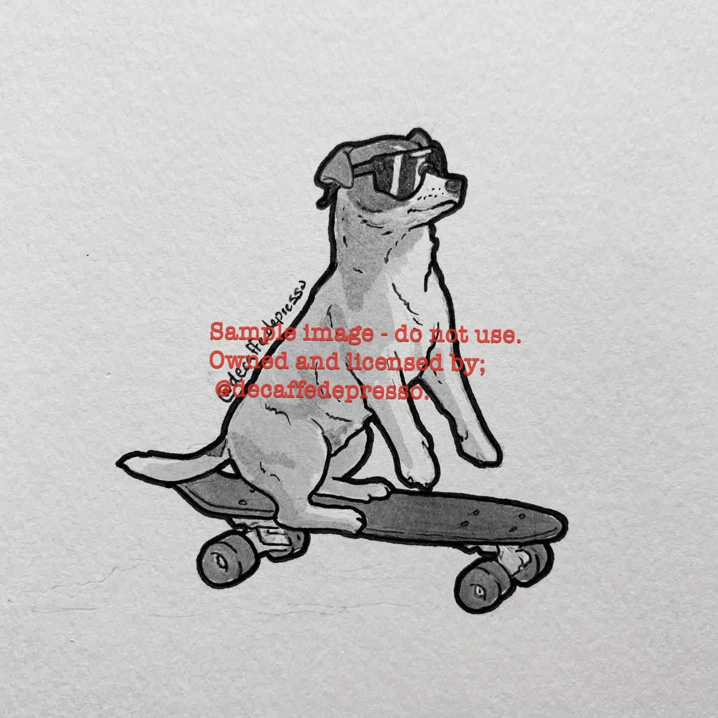 Skateboard dog