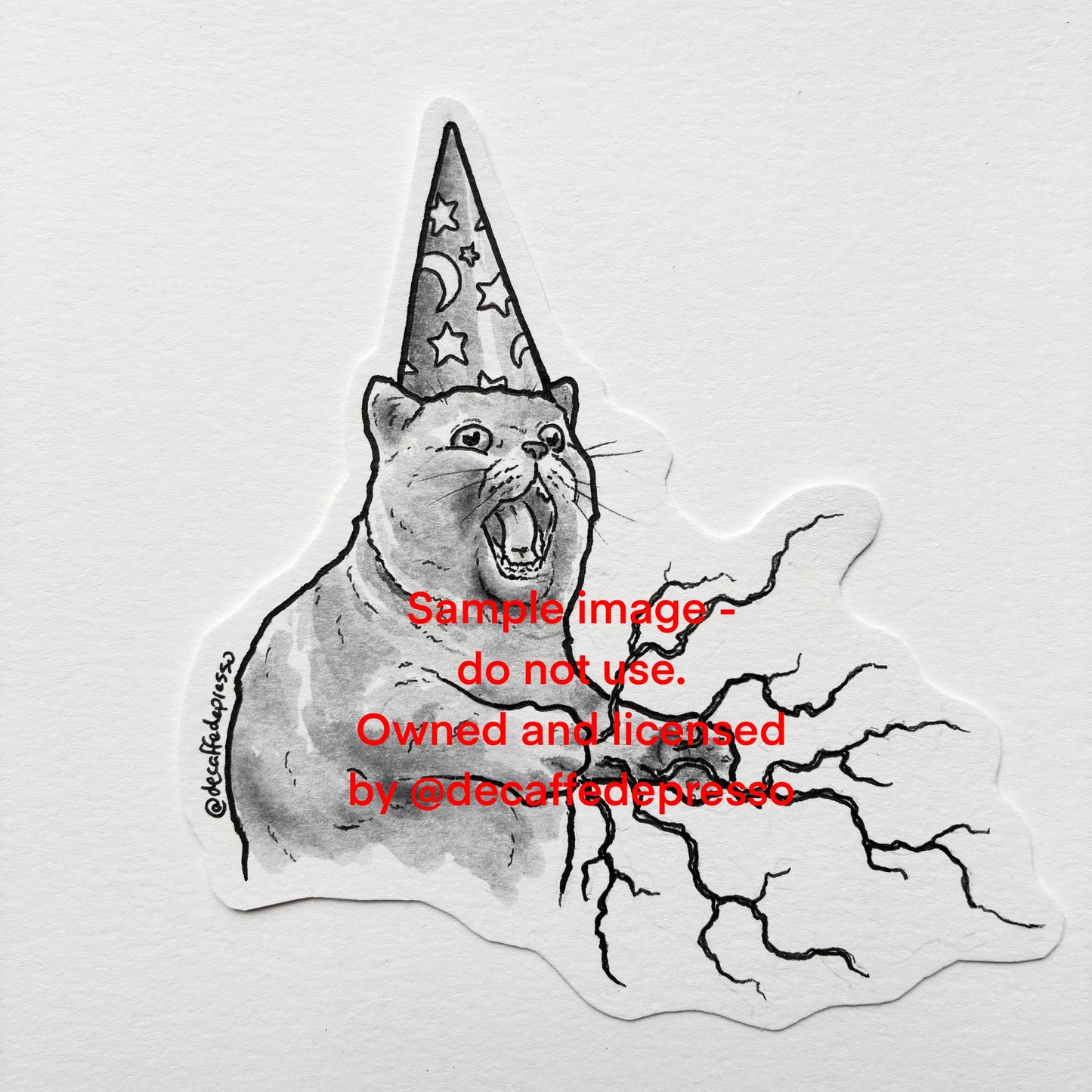 Wizard cat