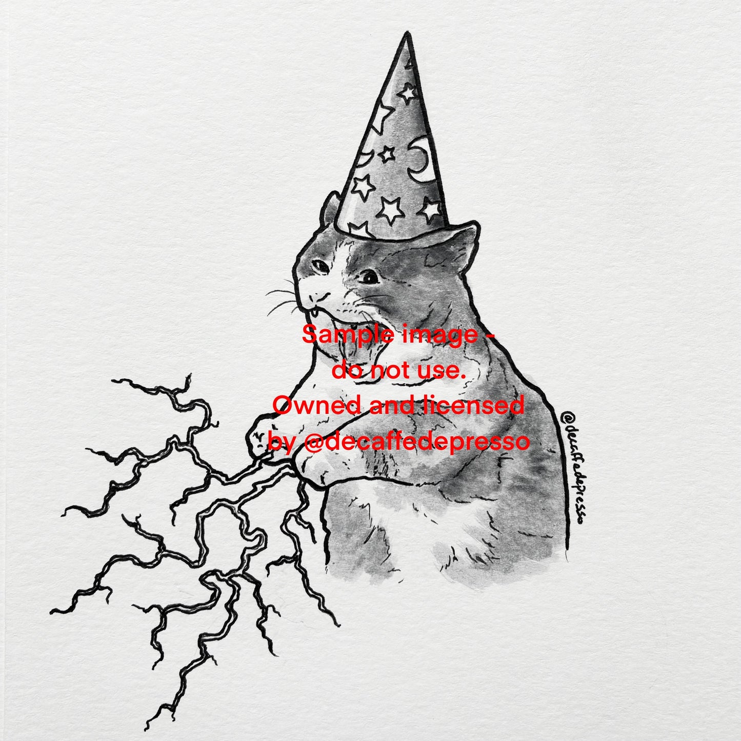 Wizard cat 2