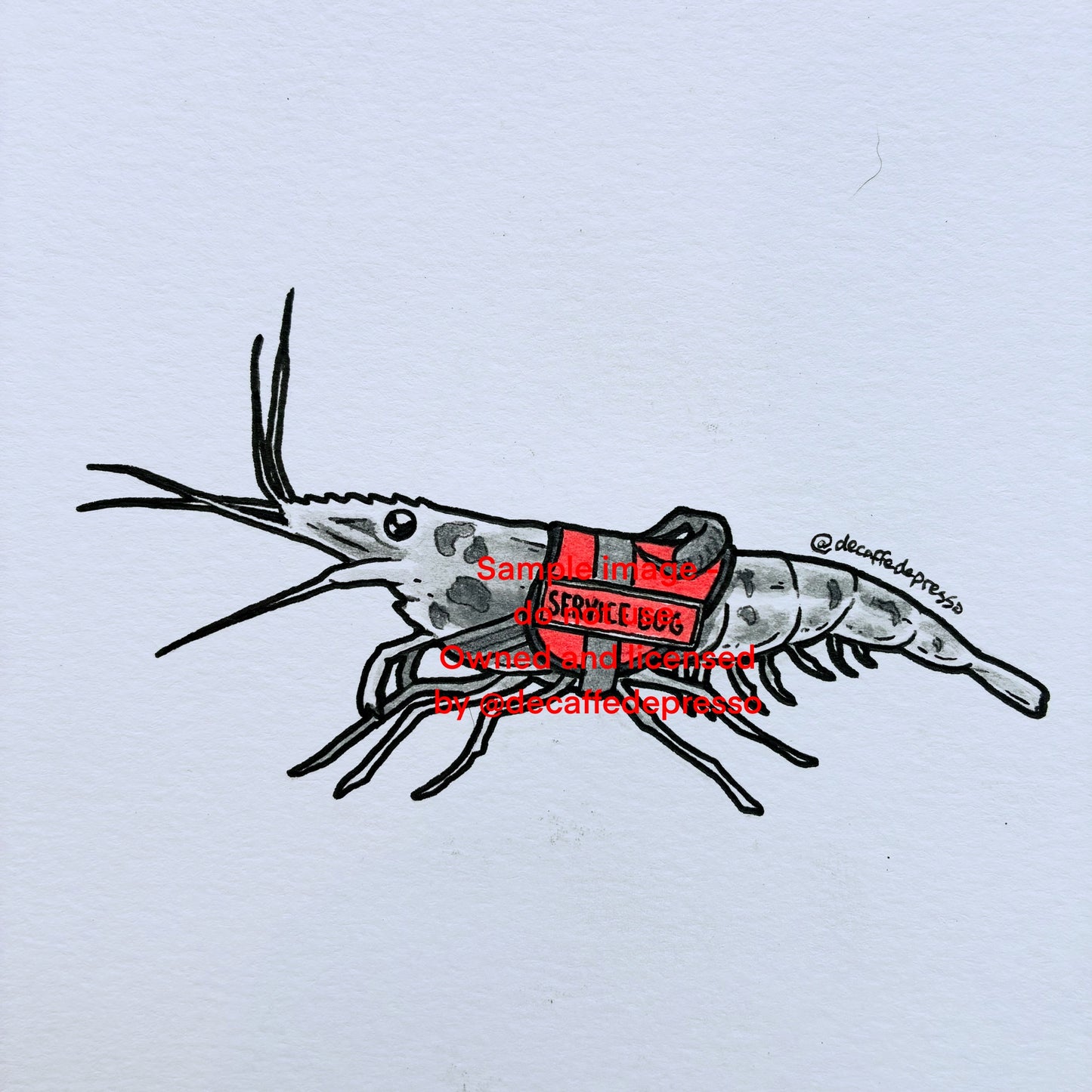 Support shrimp