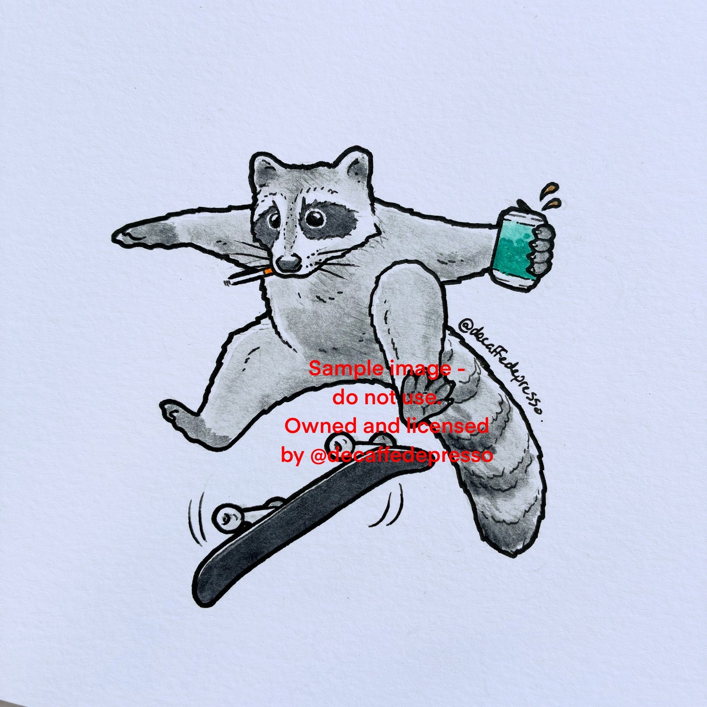 Kick flip raccon