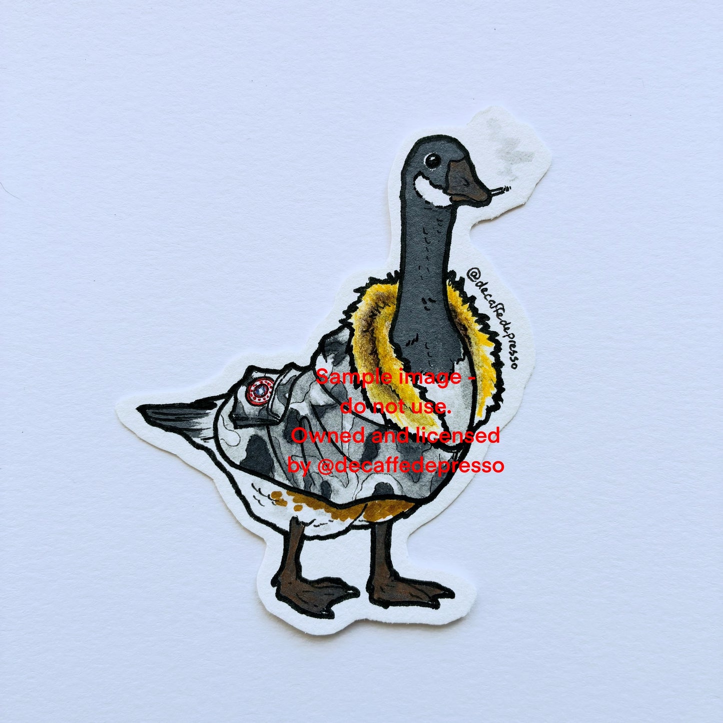 Canada goose 1