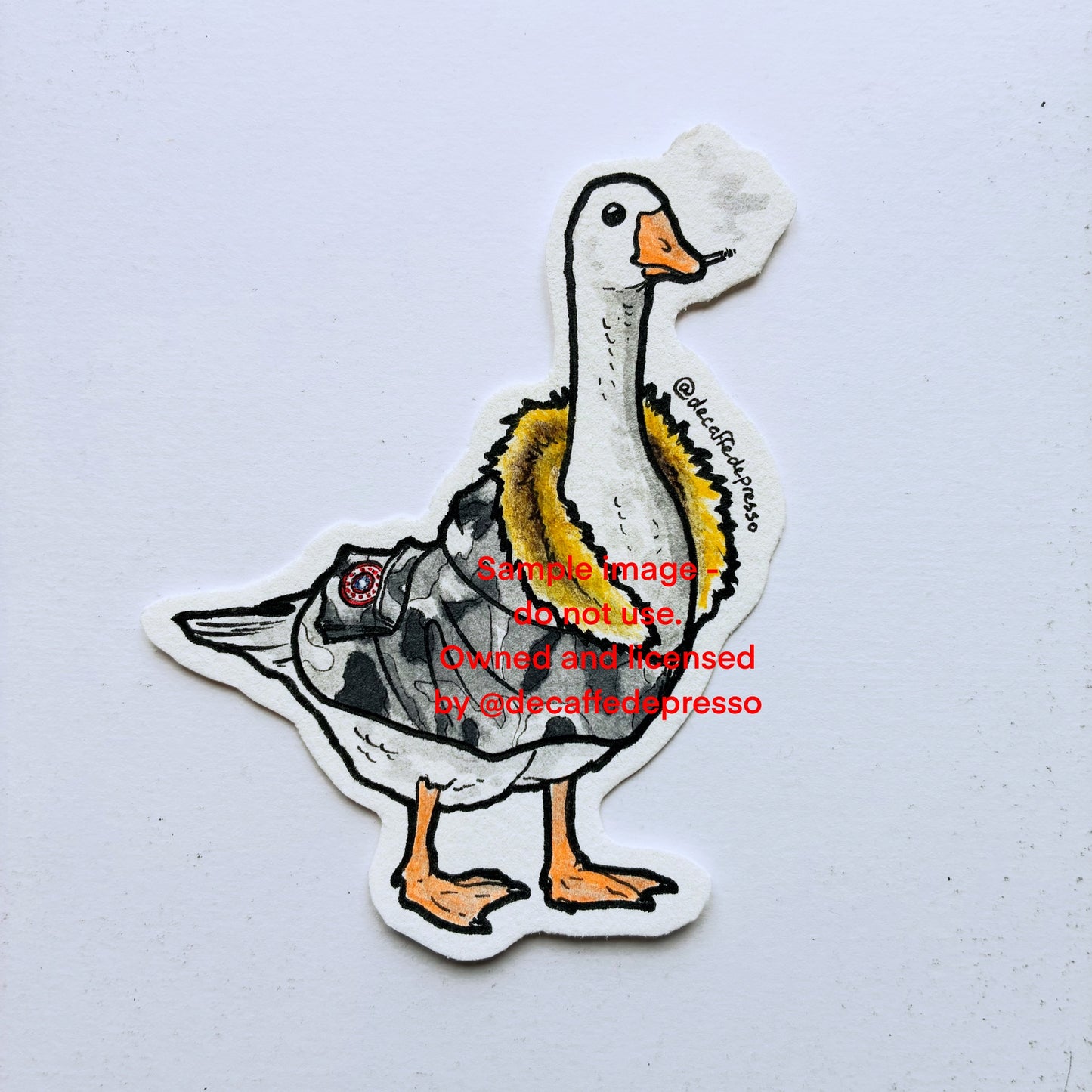 Canada goose 2