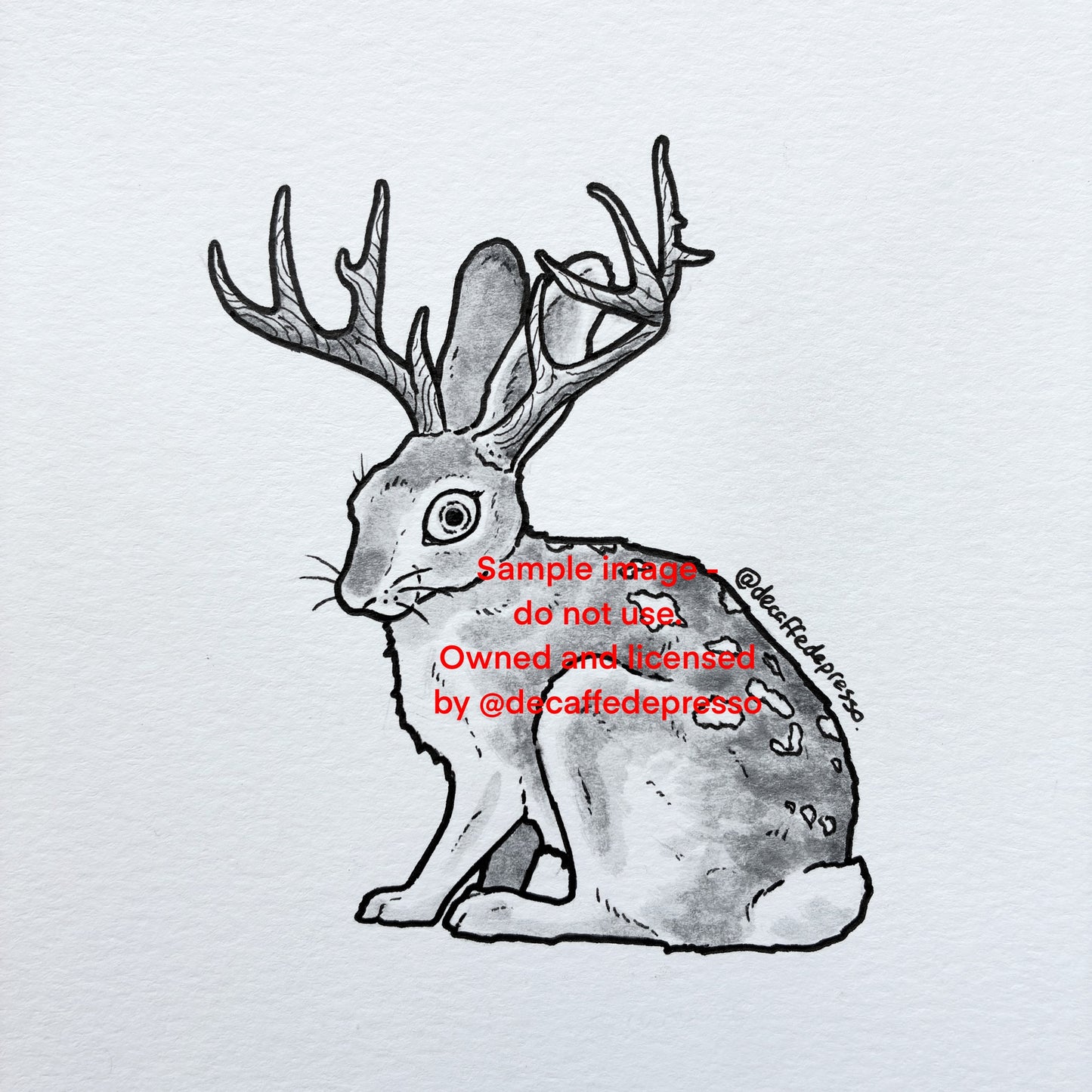 Jackalope