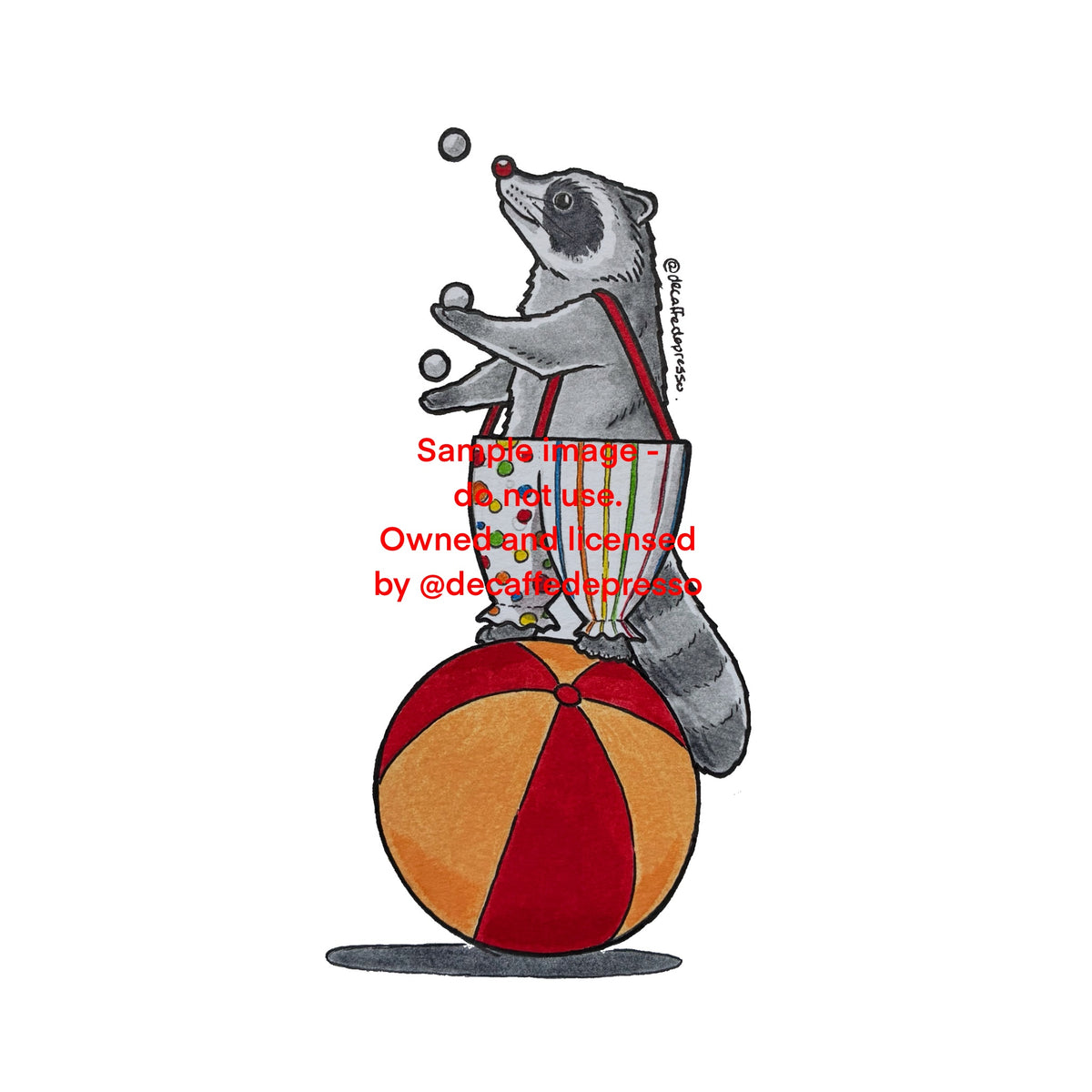 Circus raccoon (juggler)