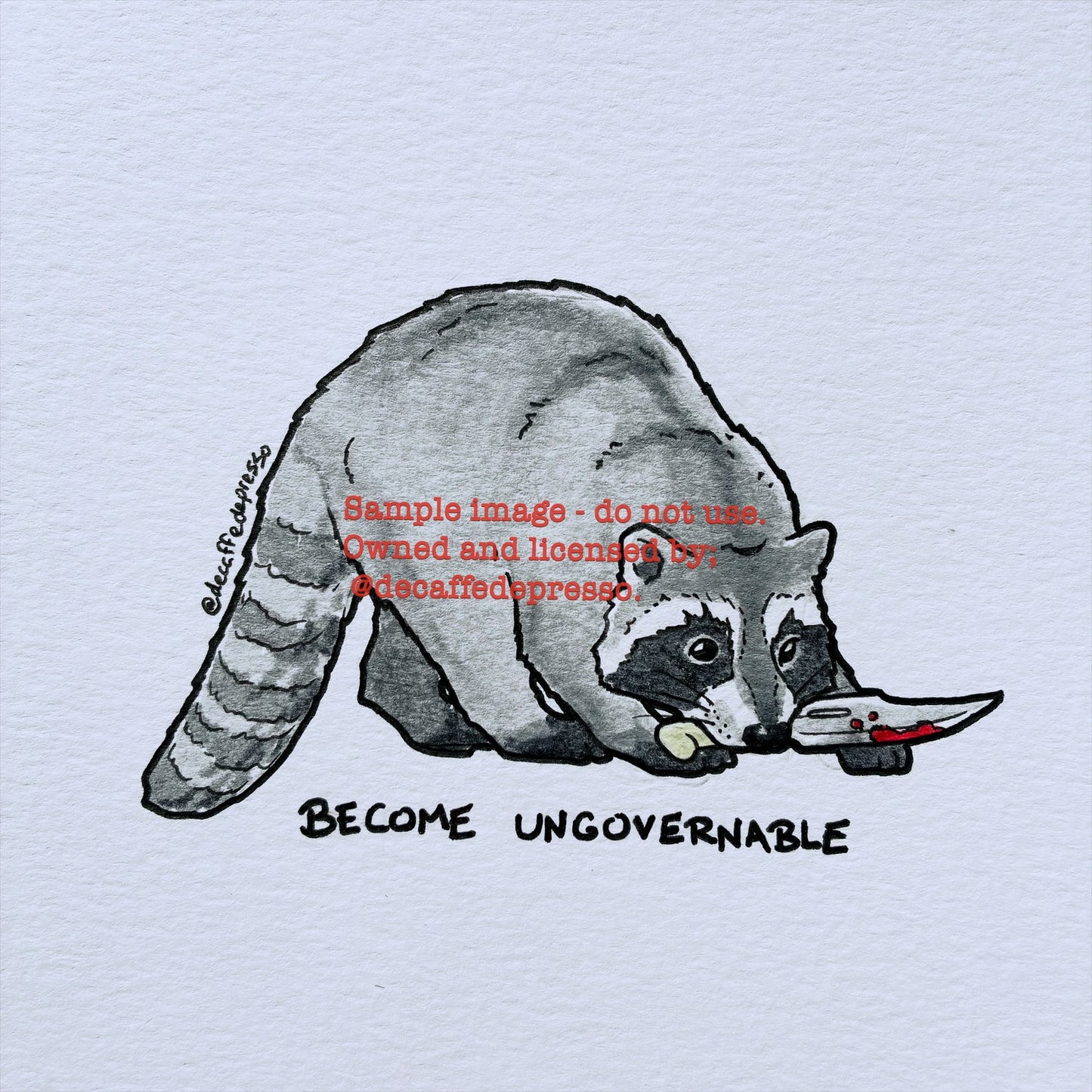 Ungovernable raccoon (knife)