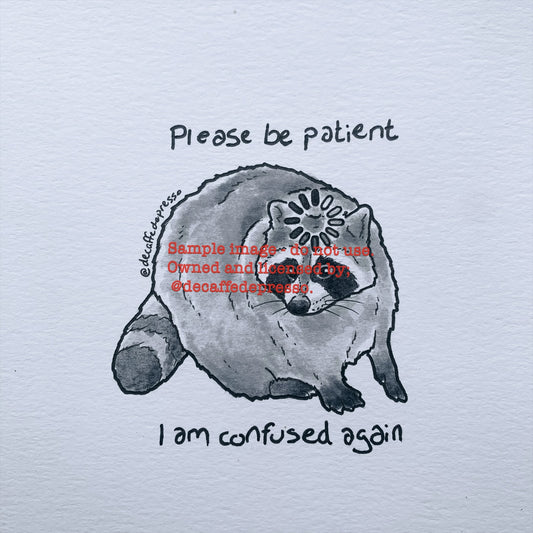 Confused raccoon