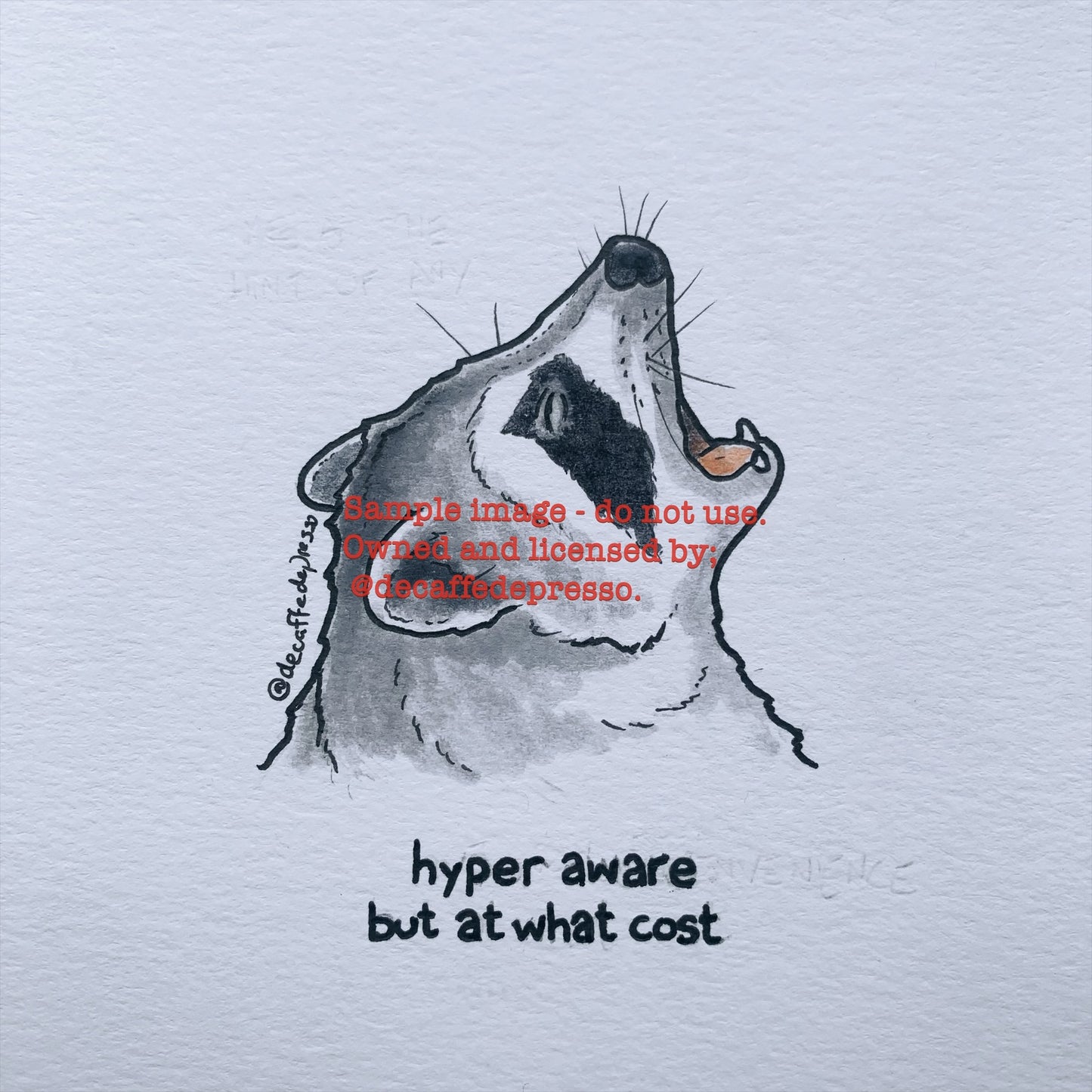 Hyper aware raccoon