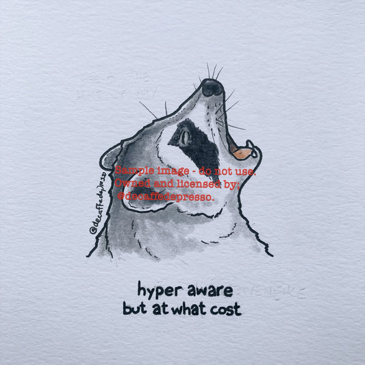 Hyper aware raccoon