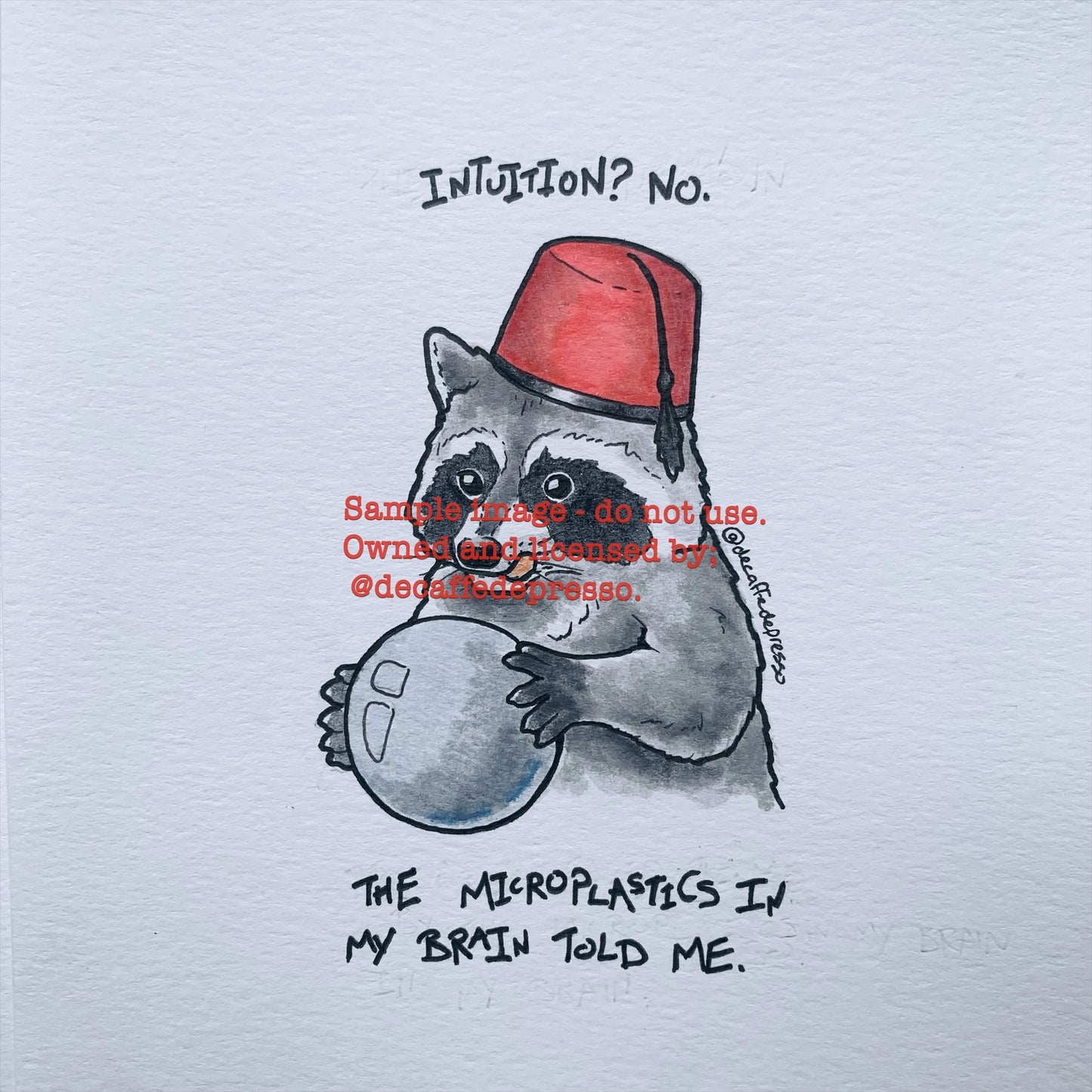 Microplastics raccoon