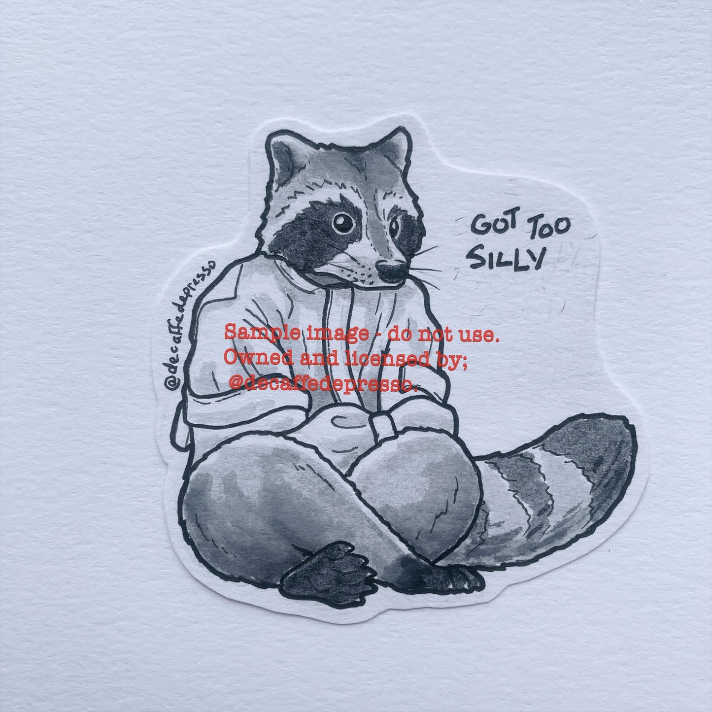 Silly raccoon