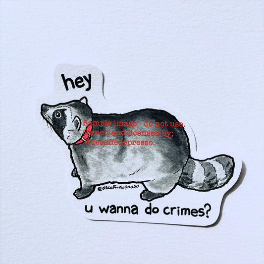 Crime raccoon