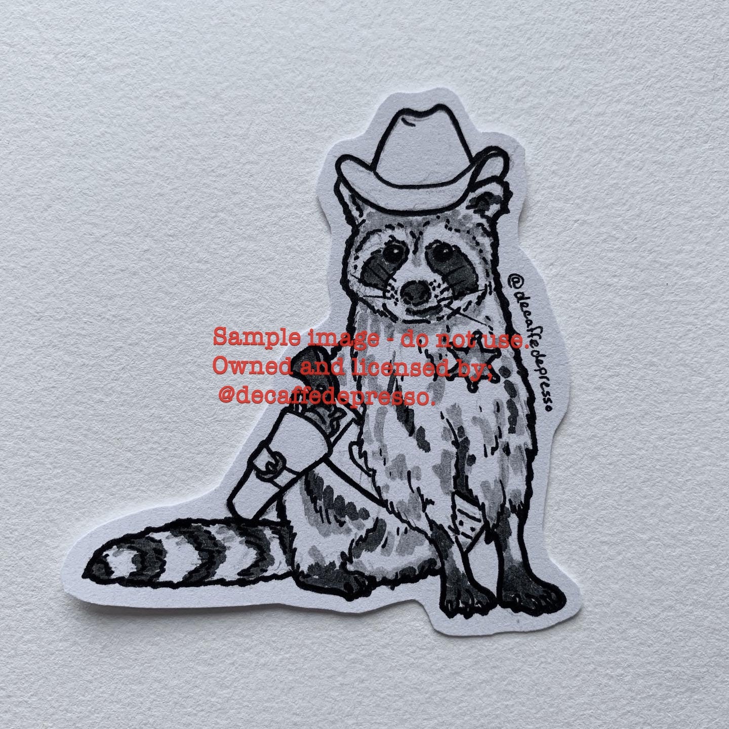 Cowboy raccoon 2