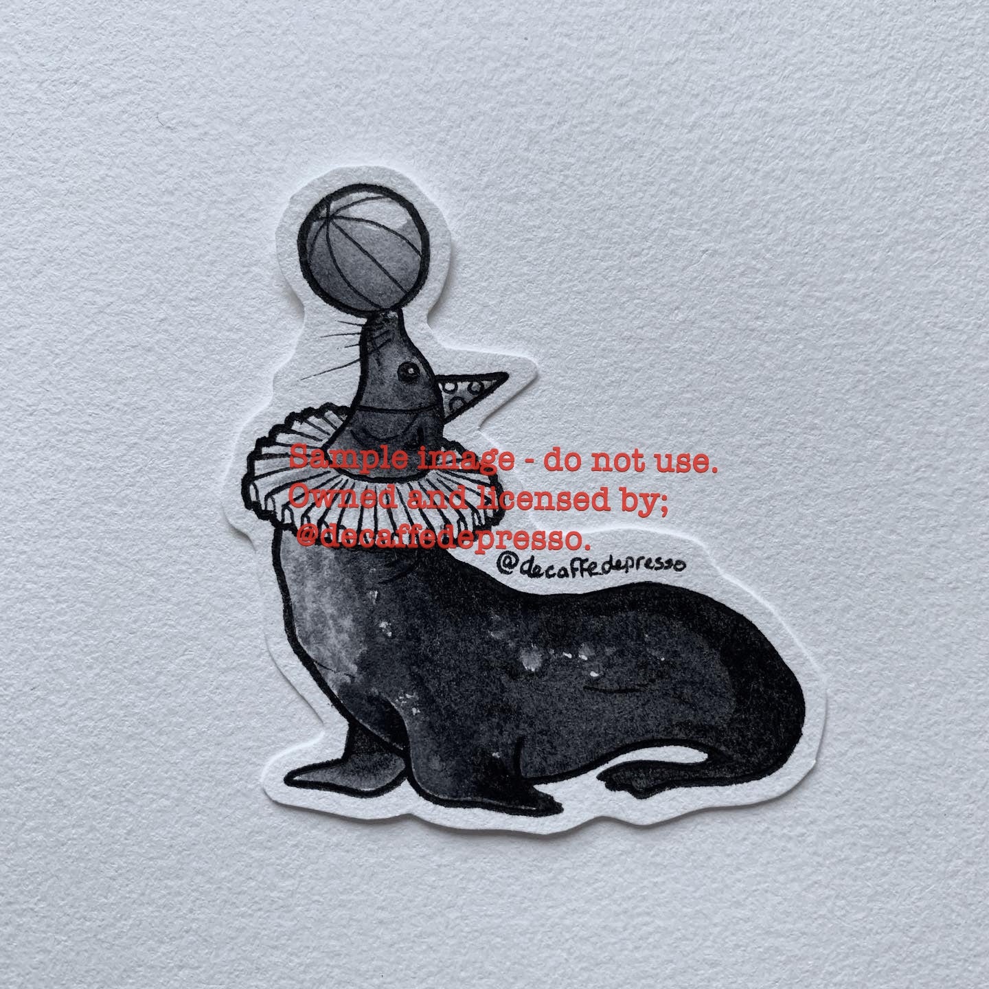 Circus sea lion