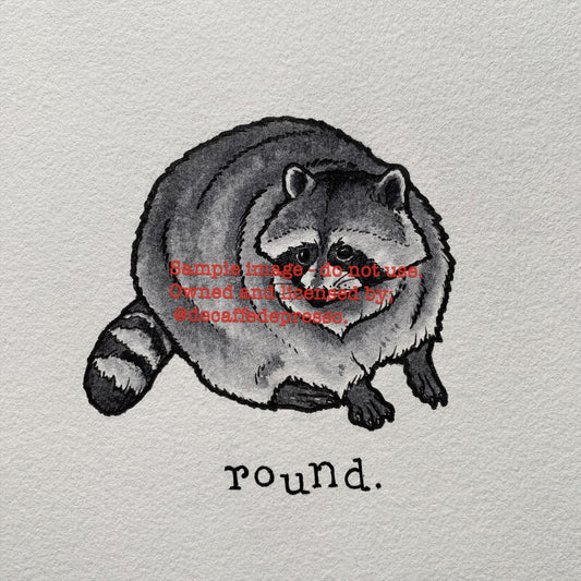 Round Raccoon