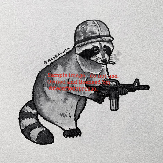 War raccoon (Vietnam)