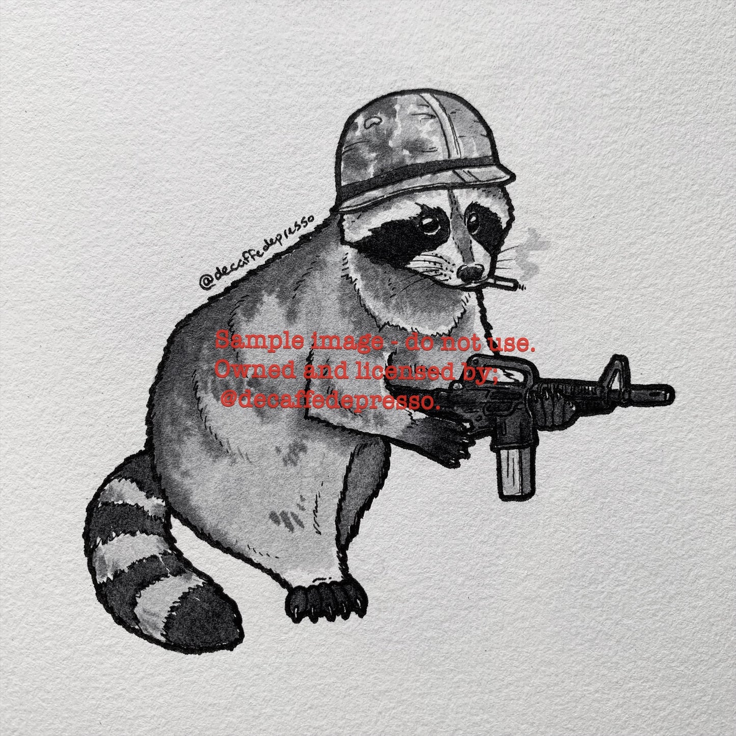 Military raccoon (Vietnam)