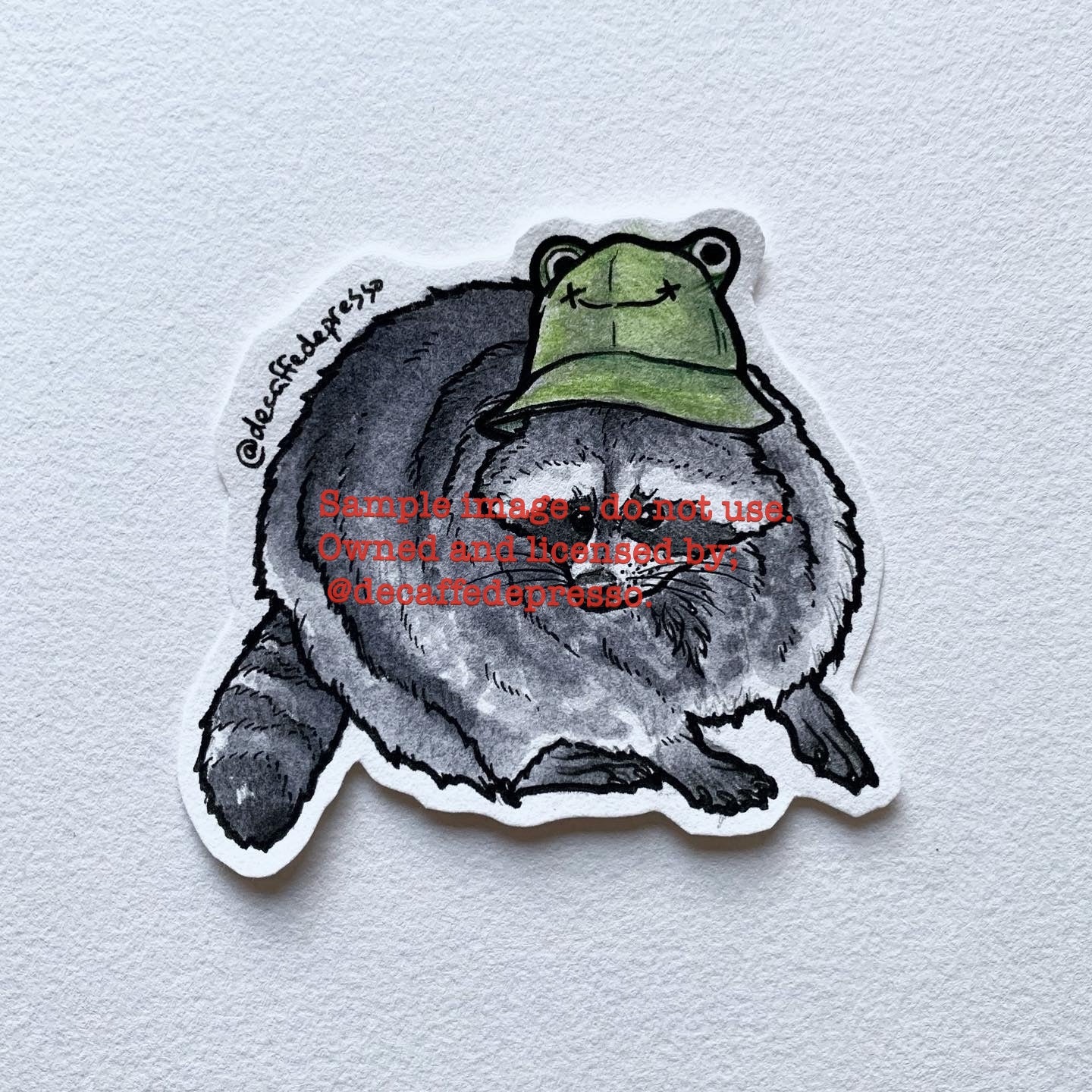 Froggy hat raccoon 1