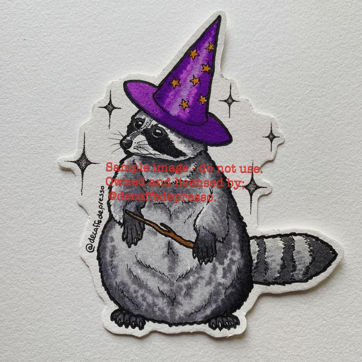 Magic raccoon 1