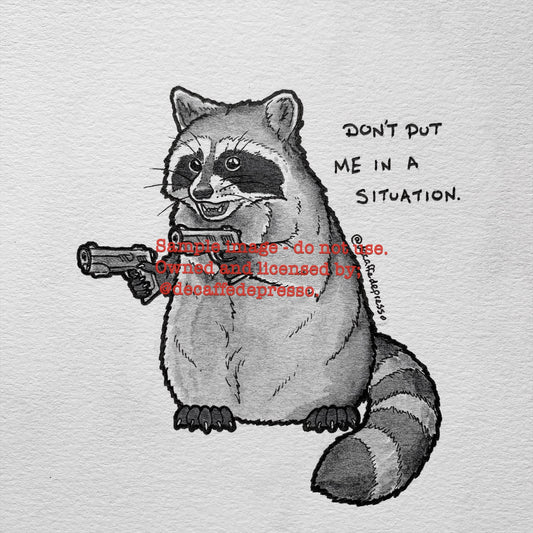 Situation raccoon