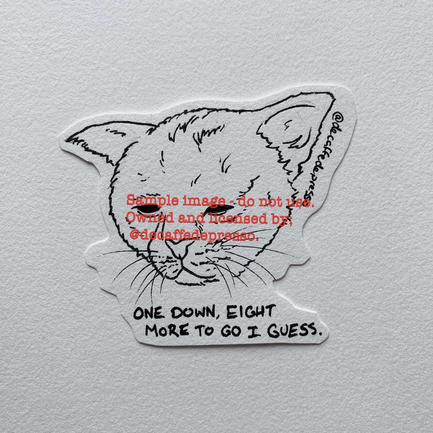 Spicy sadness cat