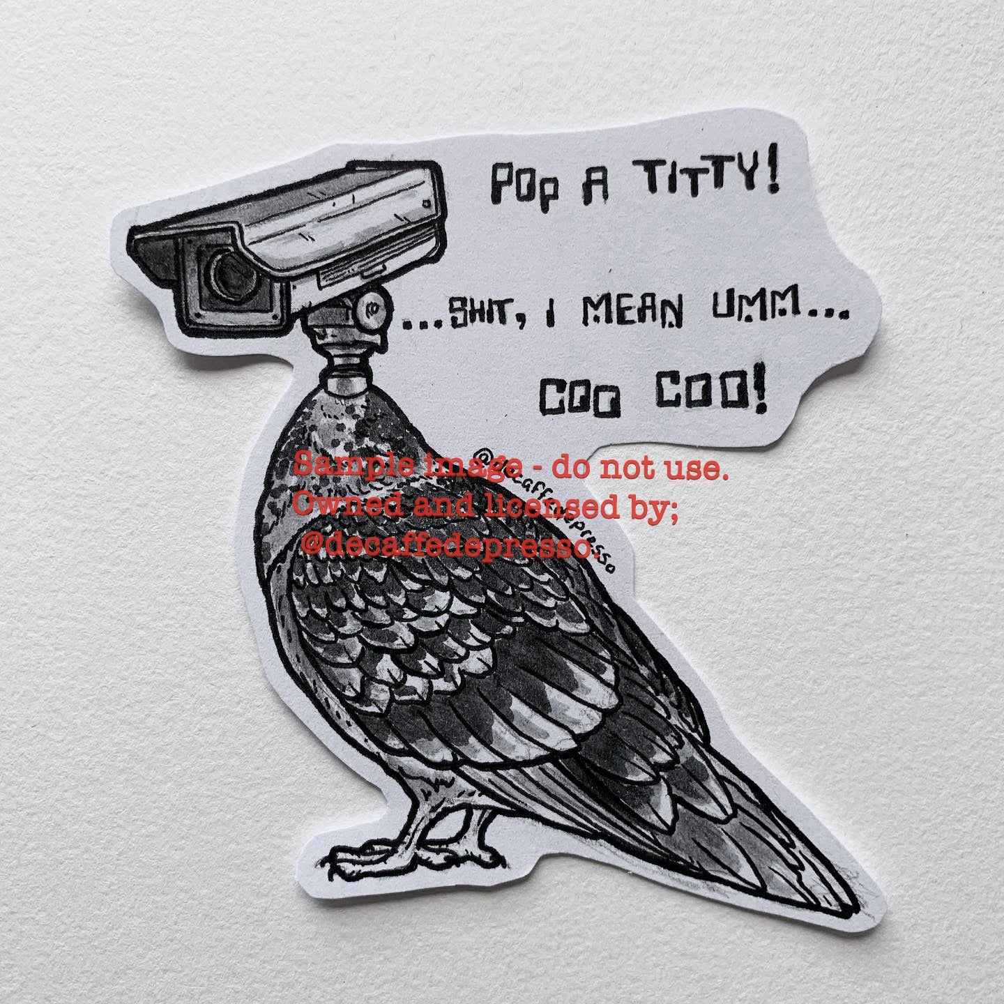 Surveillance pigeon