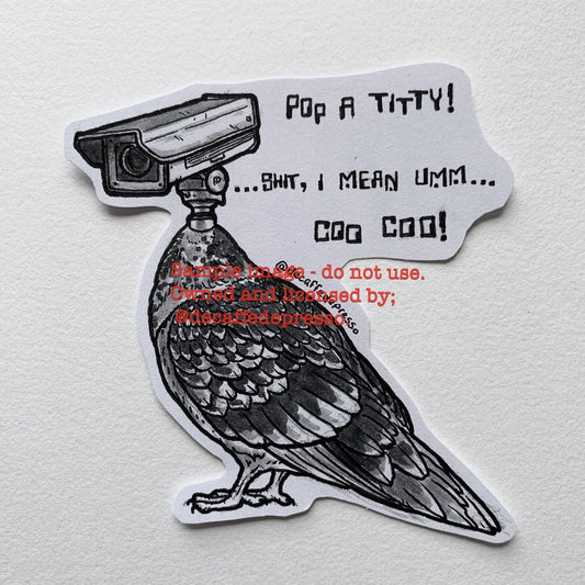 Surveillance pigeon