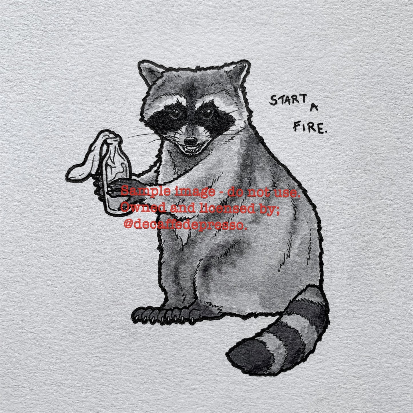 Molotov raccoon